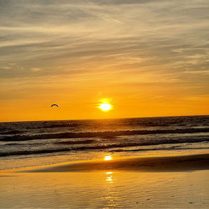 Meet your Posher, Meryth